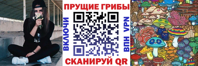 магазин продажи   kraken как зайти  Галлюциногенные грибы MAGIC MUSHROOMS  Магнитогорск 