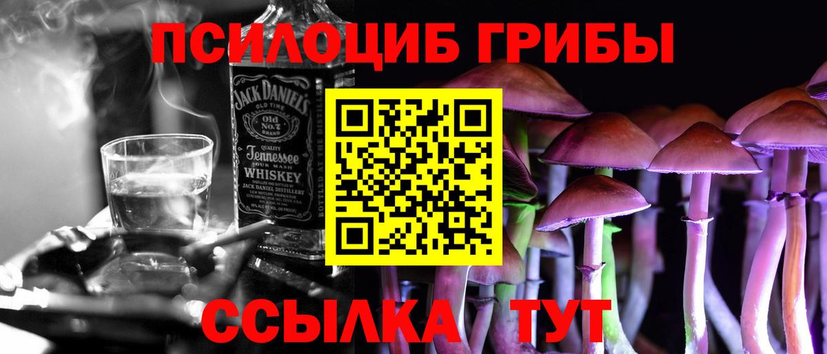 Галлюциногенные грибы Psilocybe Магнитогорск
